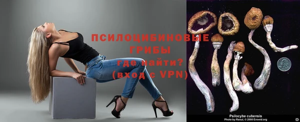 a pvp Алзамай