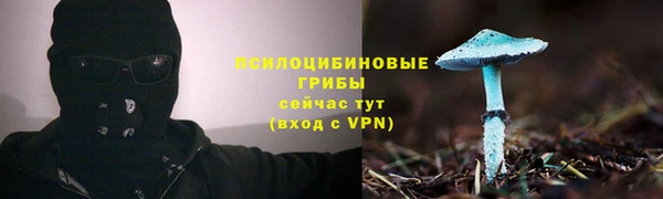 спиды Алексин
