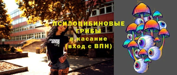 a pvp Алзамай