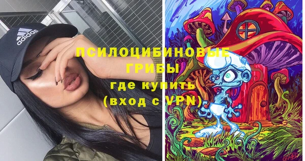 a pvp Алзамай